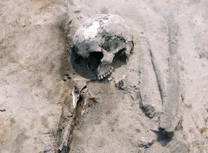 Skeleton of a Bronze Age woman discovered at Karczyn-Witowy – among the earliest known millet-eaters in northern Poland