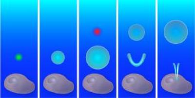Injecting a Cell