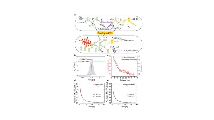 Mechanism of modulated nitrogen fluorescence emission by α particles