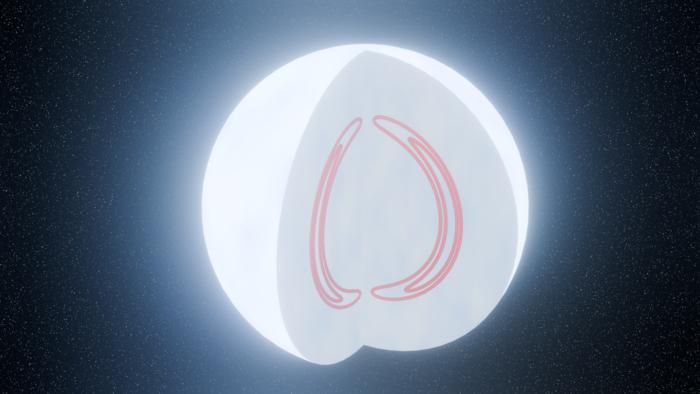Magnetic fields can form shell‑like structure