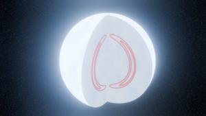 Magnetic fields can form shell‑like structure