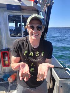Andrew McCracken with sea stars