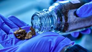 Plastic that can conduct an electric charge
