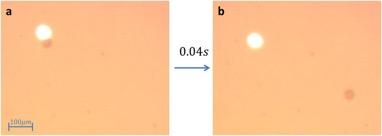 Tiny Bubbles Provide Tremendous Propulsion in New Microparticle  Research by Ben-Gurion University