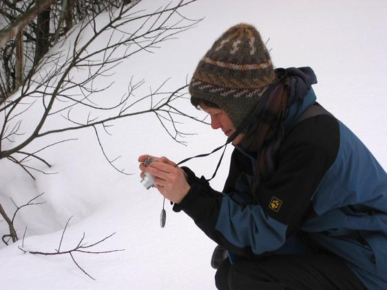 Field Documentation