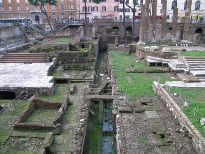 Torre Argentina Field