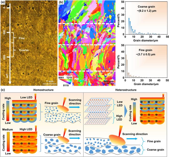 Zinc-Copper alloy with alternating coarse- and fine-grained laminated heterostructure fabricated via laser powder bed fusion