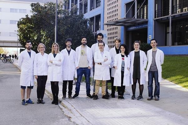 Research Team