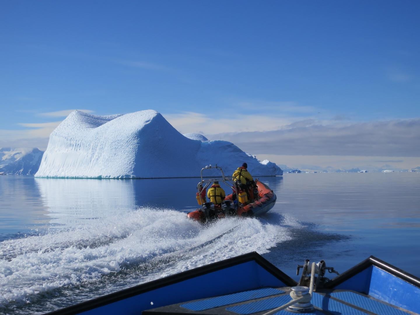 Morning Commute in Antarctica