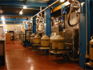 Underground Tests