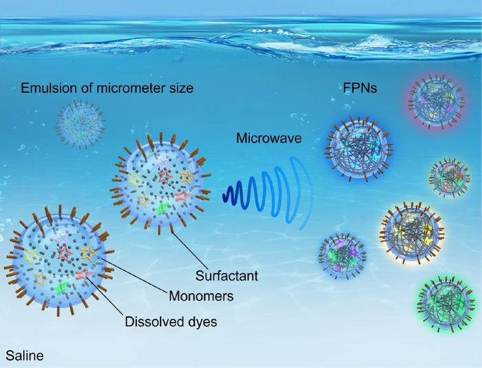 The idea of physically entrapping fluorescent molecules by in-situ formed polymer chains during the microwave-mediated conversion of monomer emulsions into fluorescent polymer nanoparticles (FPNs).
