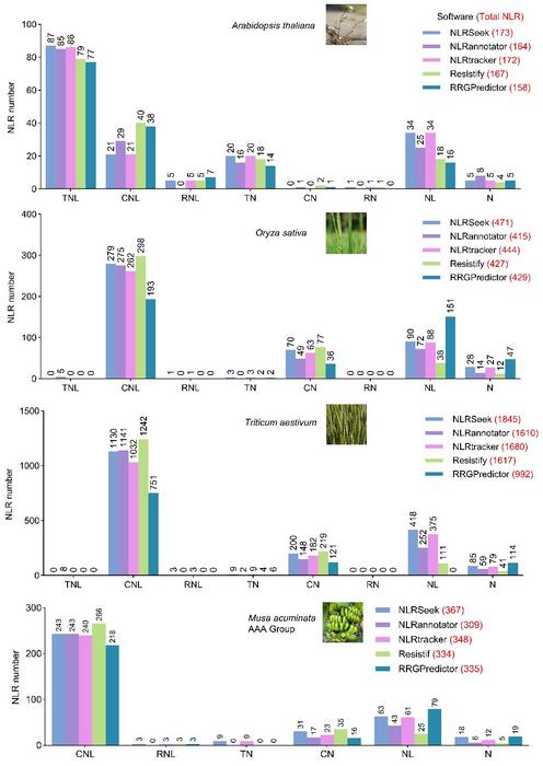 NLRSeek: A reannotation-based pipeline for discovering missing plant immune genes