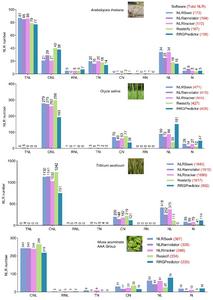 NLRSeek: A reannotation-based pipeline for discovering missing plant immune genes