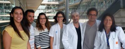 Research Team