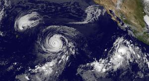 El Niño Southern Oscillation
