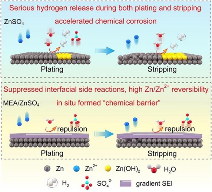 Additive-Formed Chemical Barrier Enhances Zinc Battery Stability.