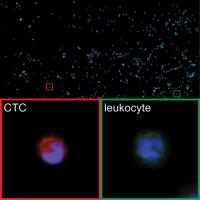 CTC Image Labels