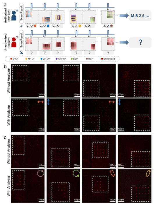 Figure 2 | Depth- and polarization-gated optical encryption through metasurface-generated 3D vectorial light fields.
