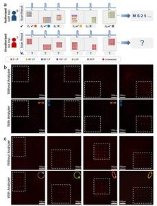 Figure 2 | Depth- and polarization-gated optical encryption through metasurface-generated 3D vectorial light fields.