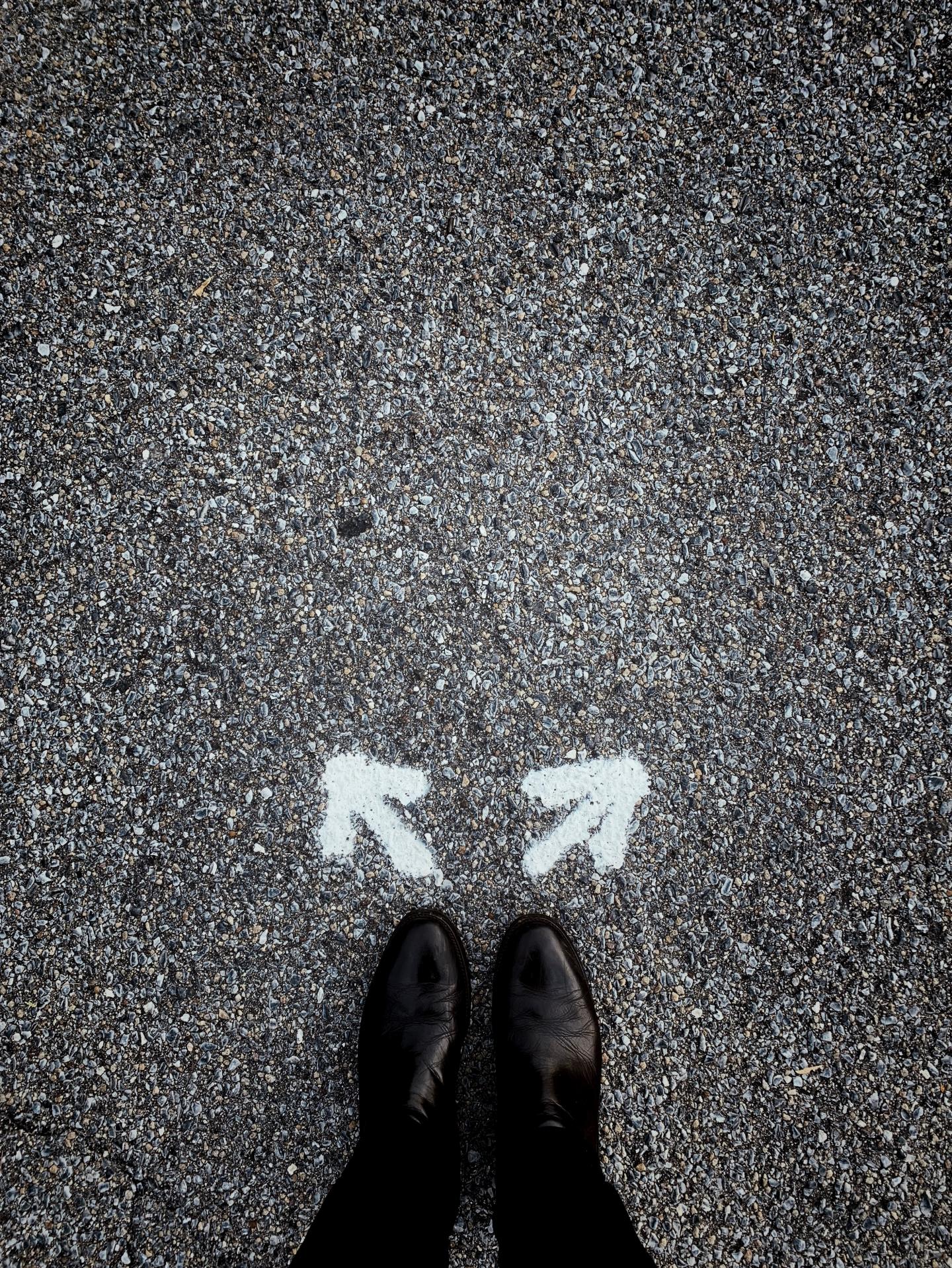 Tool for Studying Decision-Making is Ineffective for Training Better Behavior