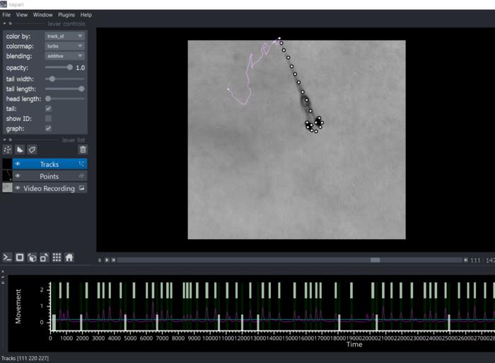 PoseR, a plugin designed to accelerate the analysis of animal behaviours. It simplifies the process of training deep learning behavioral classifiers for a wide range of applications