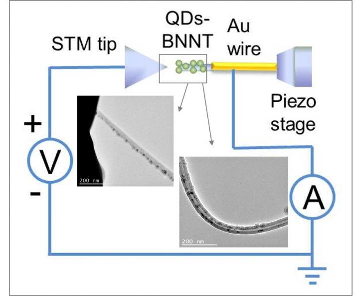 BNNT Microscopy