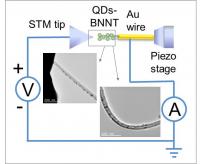 BNNT Microscopy