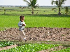 children’s diet quality near protected areas