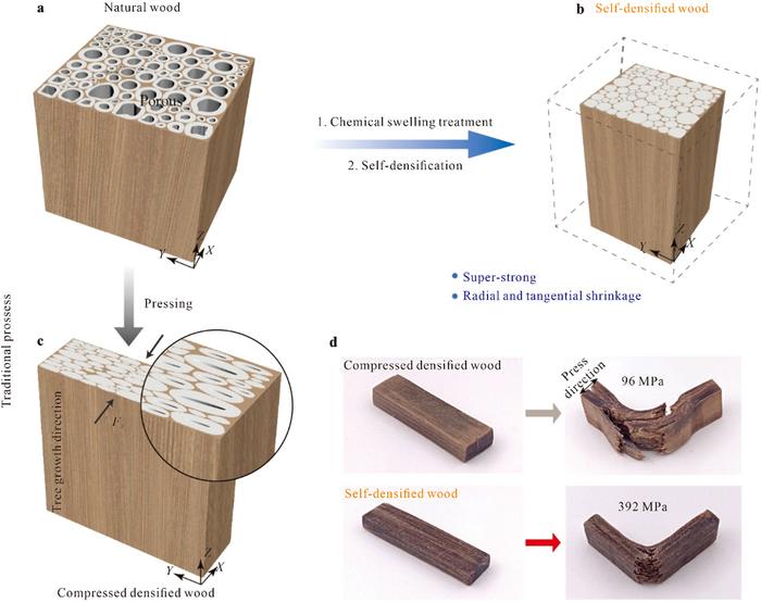 Self-Densified Wood Beats Aluminum: A Game-Changer for Green Construction