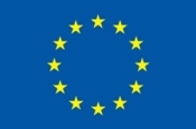 European Union Flag