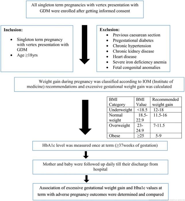 Flowchart summarizing the experimental methodology.