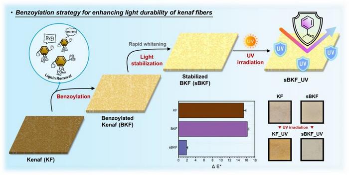 “Benzoylation Flip” Turns Kenaf Yellowing into Whitening, Opens New Route to Weather-Proof Bio-Fibers