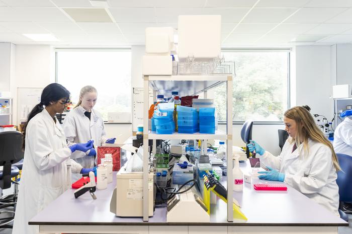Brain Tumour Research Centre of Excellence at the University of Plymouth