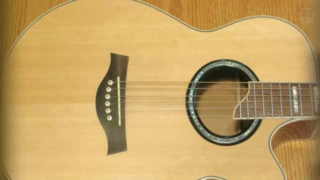Do Endangered Woods Make Better Guitars?