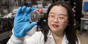 Binghamton University Research