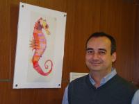 Miguel Godinho Ferreira, Instituto Gulbenkian de Ciencia