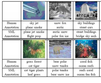 Comparison SML and Humans