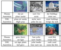 Comparison SML and Humans