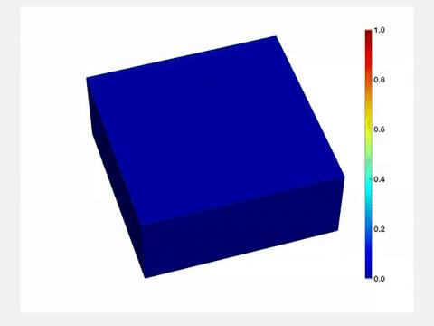 Computer Simulation of Lithium