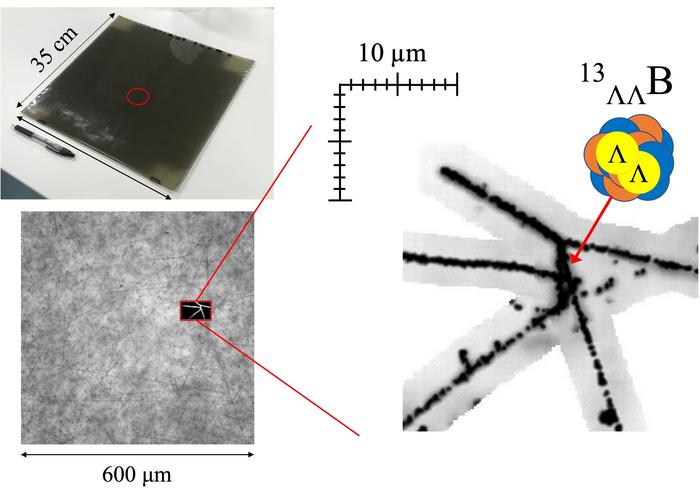 Emulsion plates used in the experiment and images of the emulsion plates captured using an optical microscope
