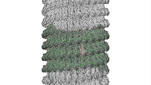 Model of cannulae column