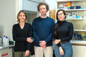 “We knew that the hippocampus is key for memory, but we did not fully understand how its two hemispheres communicate"