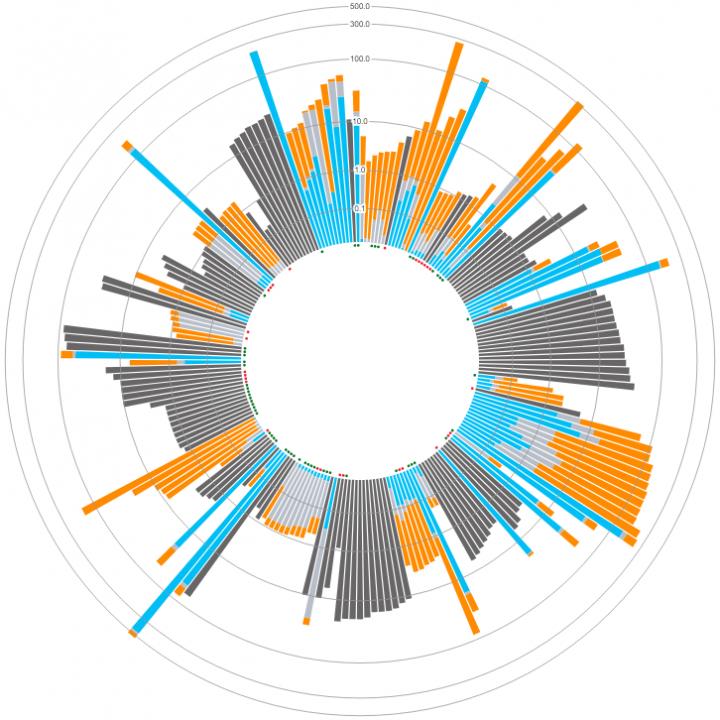 Data Visualization Tool of Carbon Footprints