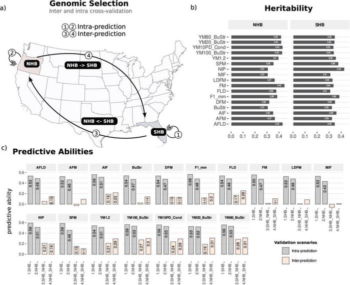 Genomic prediction of texture-related traits in blueberry.