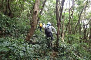 Archaeological fieldwork at Futai Island, Shimonoseki City, Yamaguchi Prefecture