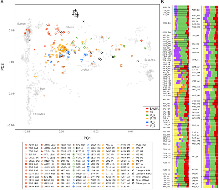 Principal Component and ADMIXTURE analysis of Xinjiang populations.