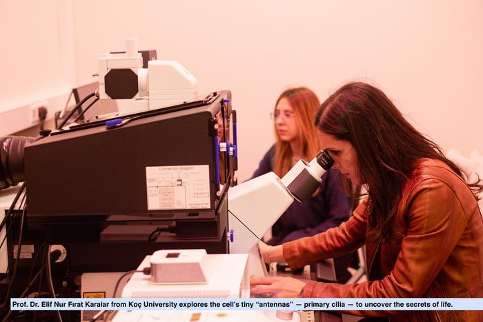 Prof. Dr. Elif Nur Fırat Karalar