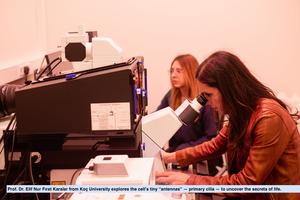 Prof. Dr. Elif Nur Fırat Karalar