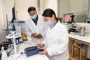 Scientists in the lab