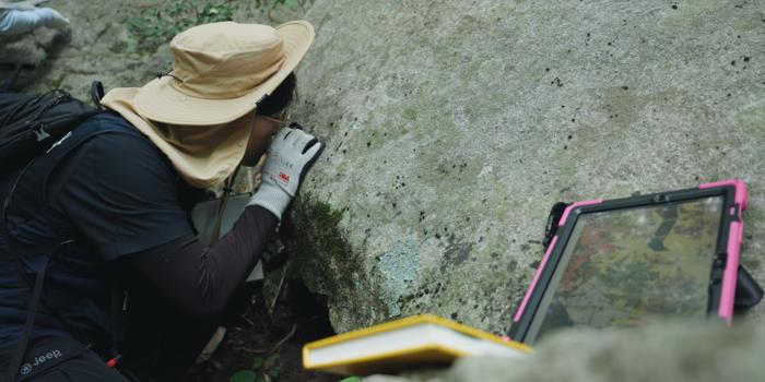 Geological Field Survey by KIGAM Researchers